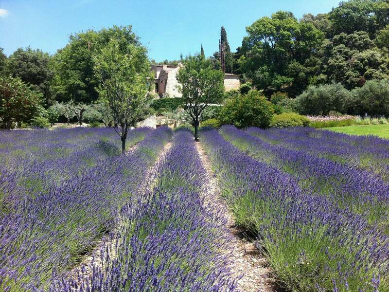 creationb220220205-976898-1mdlnc8