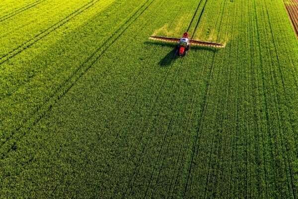 Loi Duplomb : ce qu’elle change pour les agriculteurs