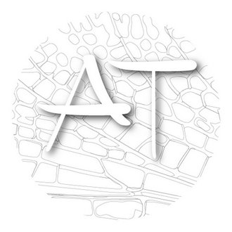 Logo Aile Théâtre