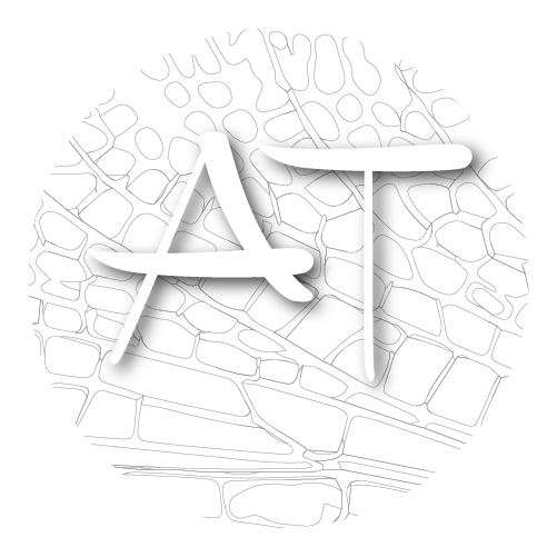Logo Aile Théâtre