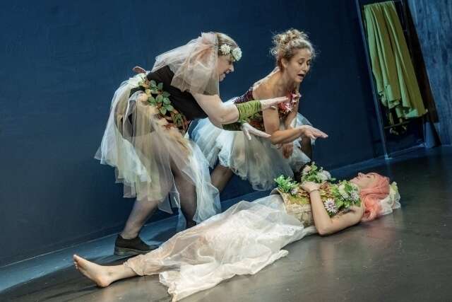 100000380020250317-3568691-qno42r