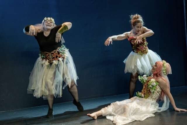 100000380320250317-3572644-1doz1ij