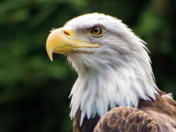 Le portail ou le trou?