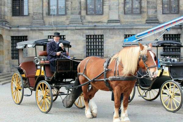 Le Chemin de Vie ou la Légende Personnelle