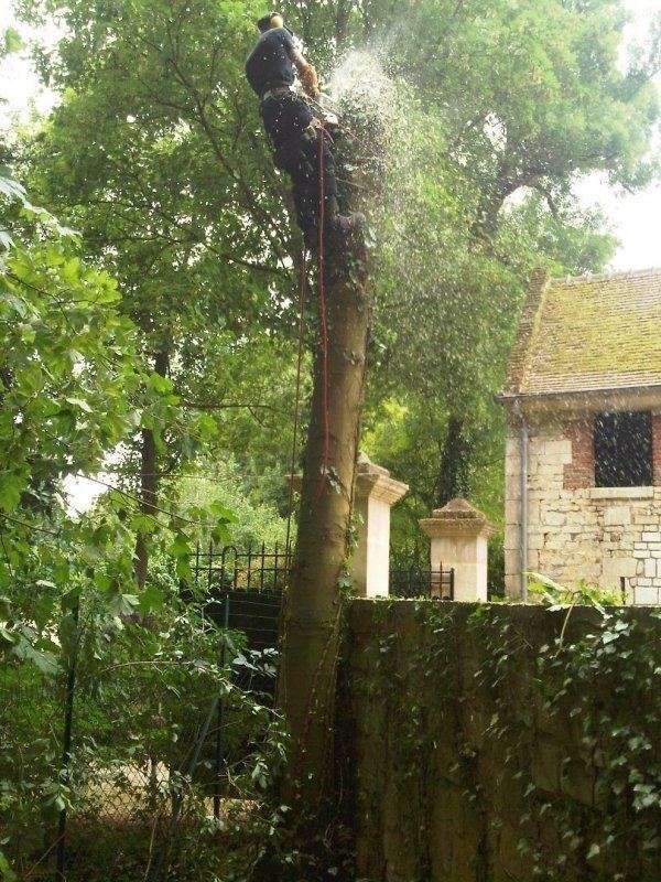 Abattage par démontage au dessus d'un mur