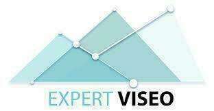 Expert Viseo