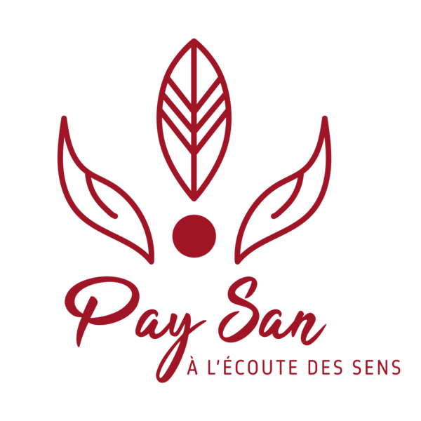 Logo PAY SAN