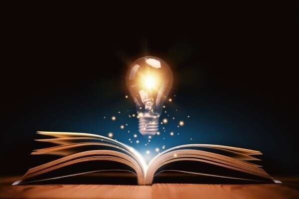 Redevances des procédures INPI - Année 2025