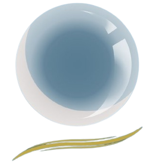 Logo Latreille Elvire Logo Latreille Elvire