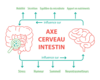 axe cerveau intestin sucre