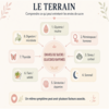 Diagramme des facteurs influençant les envies de sucre en santé fonctionnelle