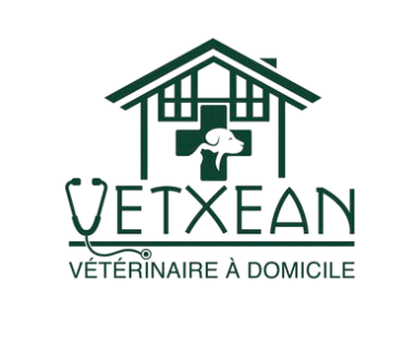 Vetxean logo, home vet Vetxean logo, home vet