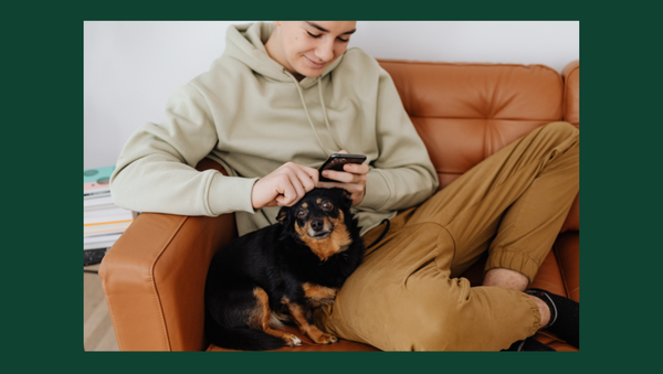 3 choses à apprendre à votre enfant pour qu'il/elle respecte les besoins de votre compagnon sénior 