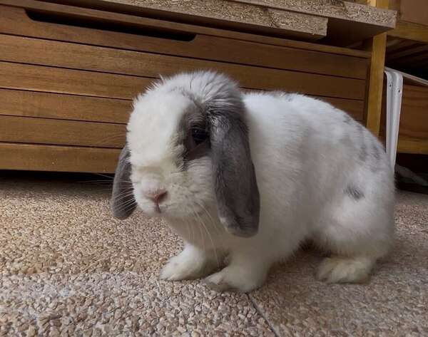 Ella : zoom sur une battante