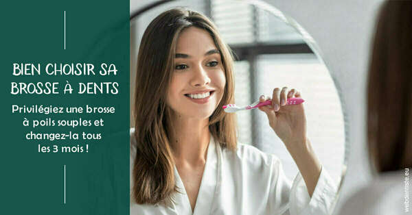 Bien choisir sa brosse