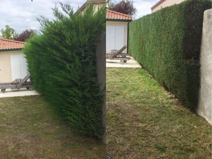 screenshot_20220626-222603_chrome