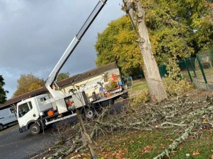 screenshot_20220626-222908_chrome