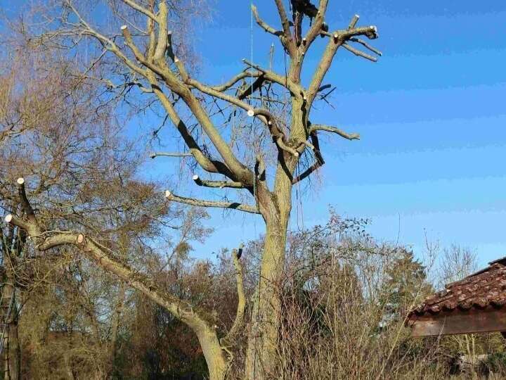 screenshot_20220823-142056_chrome