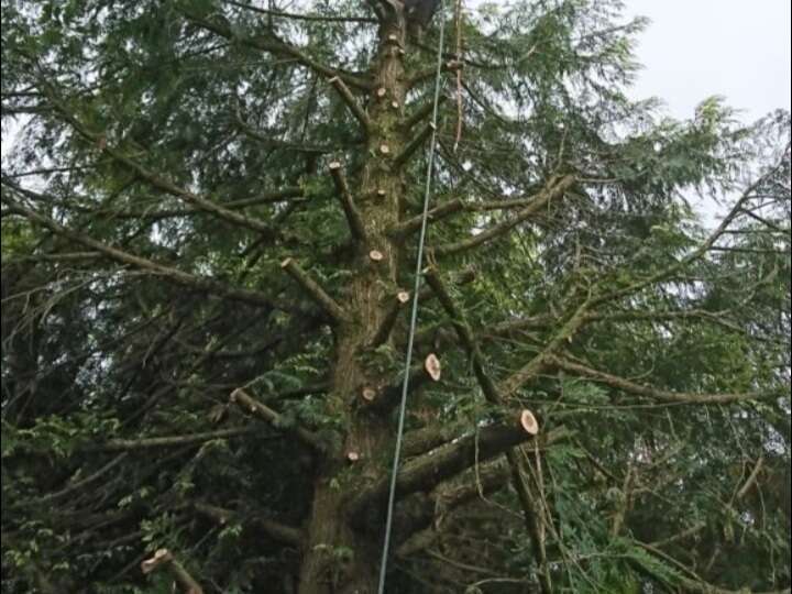 screenshot_20220823-142139_chrome