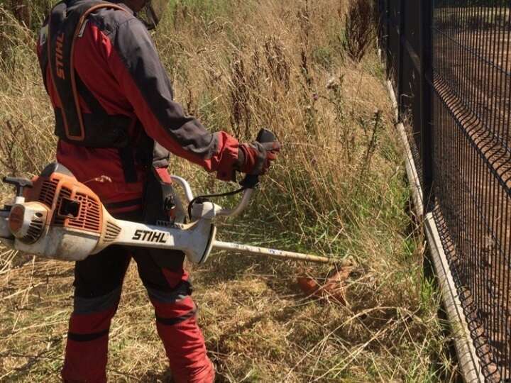 screenshot_20220823-142242_chrome