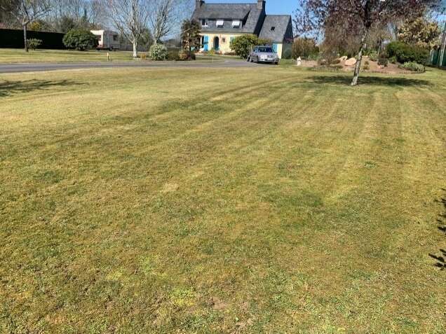 screenshot_20220703-220024_chrome