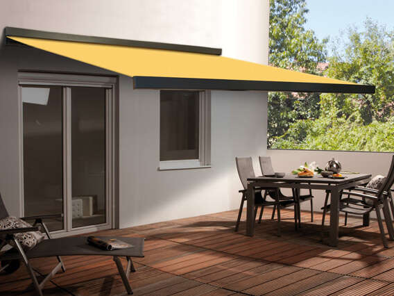 store_trendline_sunbox