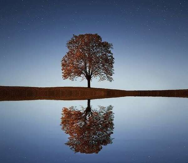 Hypnose et transgénérationnel