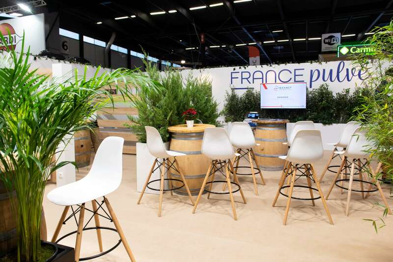 fotor_2023-1-19_15_25_32