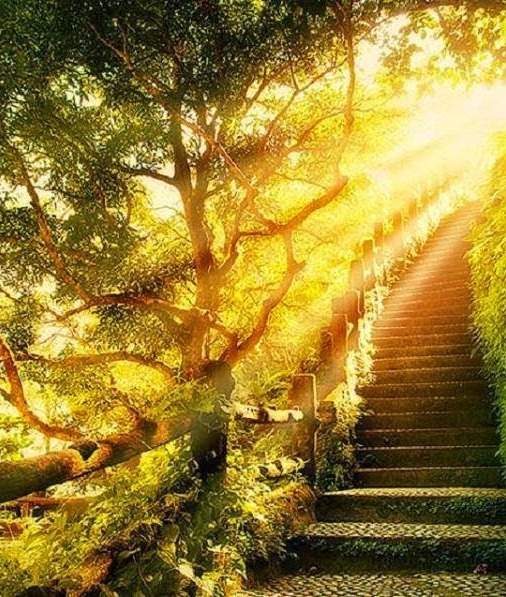 Thérapeute guide vers conscience et sérénité