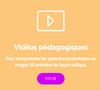 vidéos pédagogiques