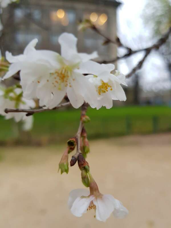 Les bons réflexes pour gérer le stress pendant la période du confinement