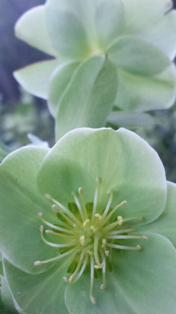 Un protocole spécifique pour mieux gérer les acouphènes de façon autonome