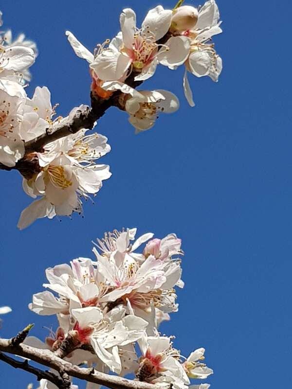 Le stress, l'angoisse, l'anxiété. En savoir plus