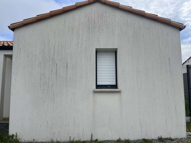 img_266520251029-1444439-82x7vb