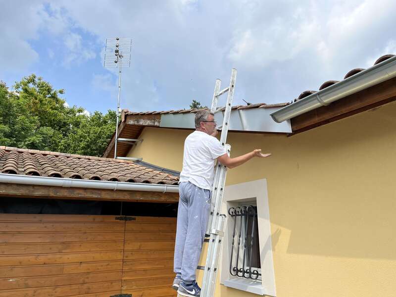 img_078620251029-1444439-aanaqe