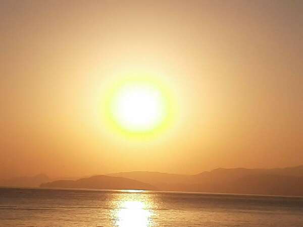 Le Jardin Énergétique,  ou  comment nos énergies influencent notre bien-être 