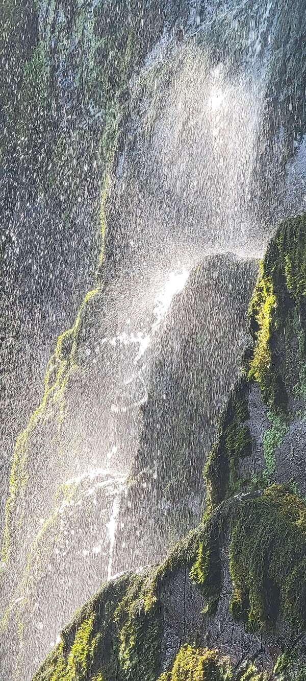 Comment participer à changer le monde?