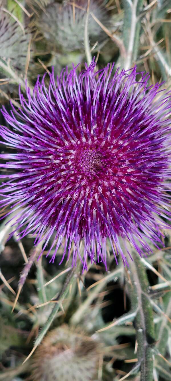 Trouver un sens à nos difficultés ? 