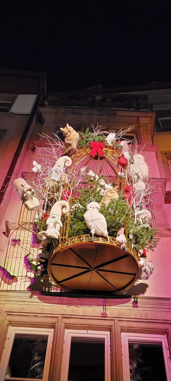 Faire des choix, prendre des décisions et passer à l’action: un processus complexe 