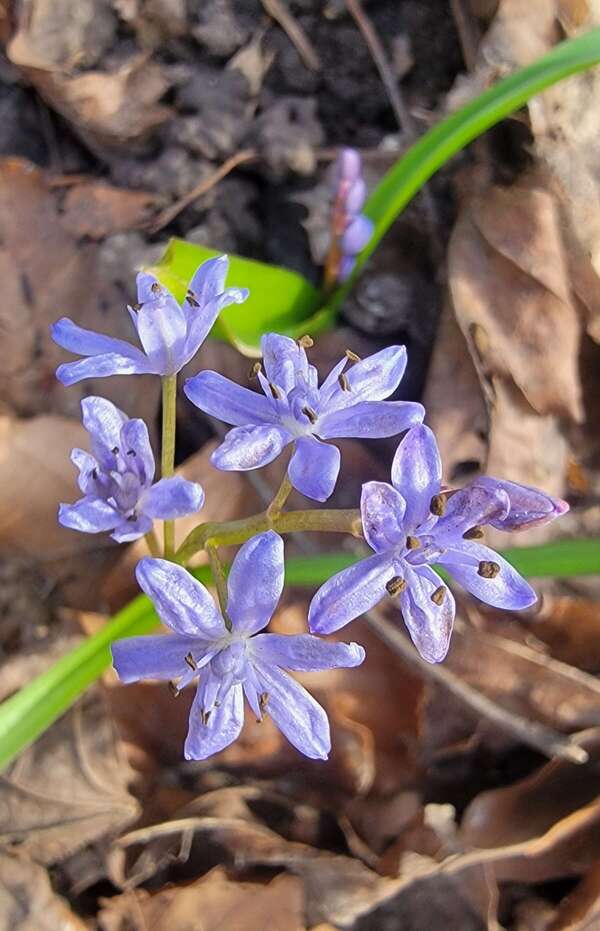 Un thérapeute, pour quoi faire ? 