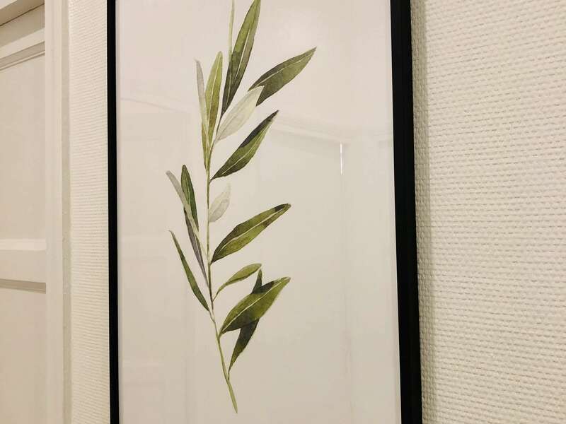 img_230920210909-1929663-1jrzaxc