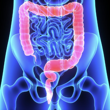 Le syndrome de l’intestin irritable : comprendre, vivre avec et soigner ensemble