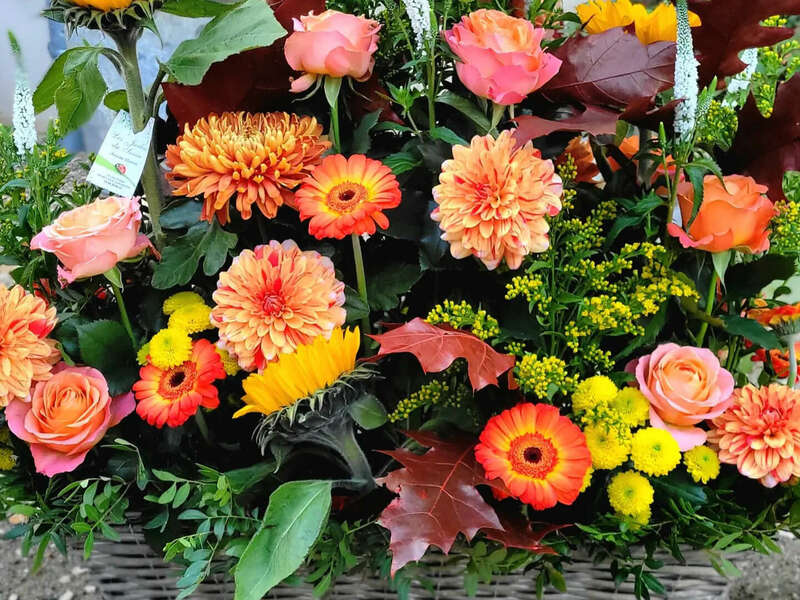 img_20230319_094142_893