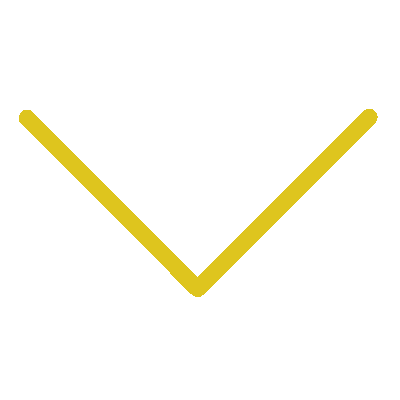 Wired outline 33 chevron down hover scale  8 