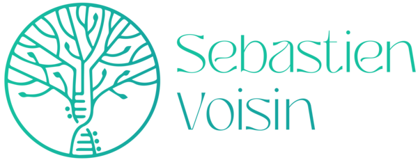 Logo Sébastien VOISIN Logo Sébastien VOISIN