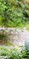 Stéphanie Arras, Naturopathie à Rognonas