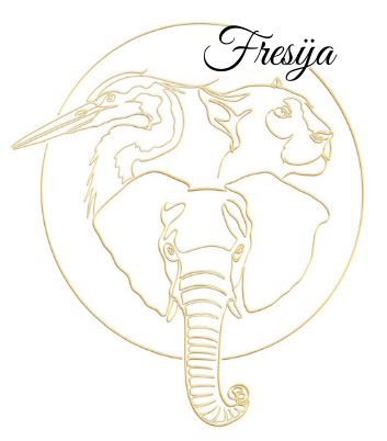 Logo Fresÿa - Sylvie Popo