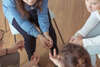 coaching et thérapie complémentaires