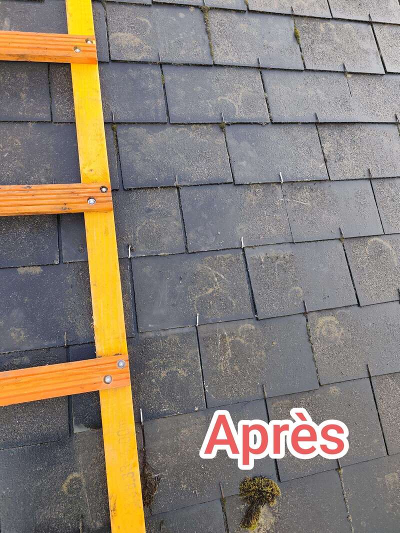 Entretien de toiture après