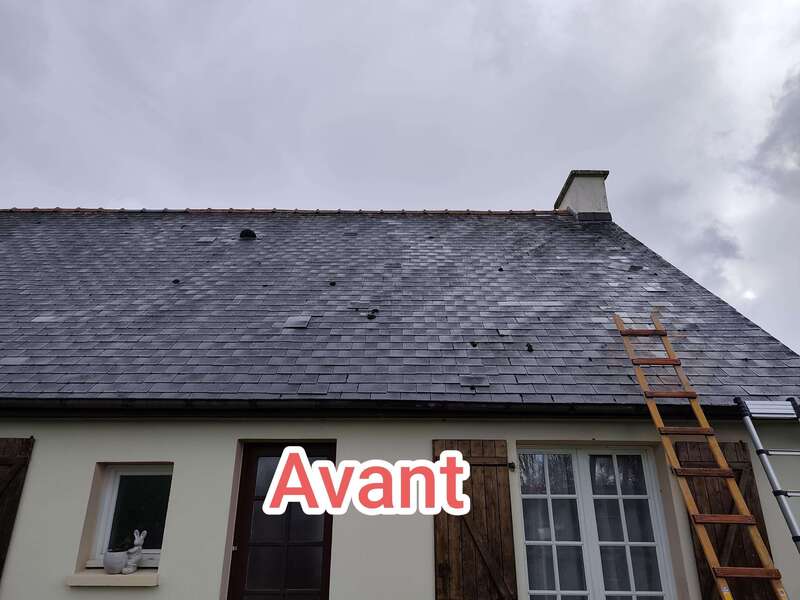 Entretien de toiture avant